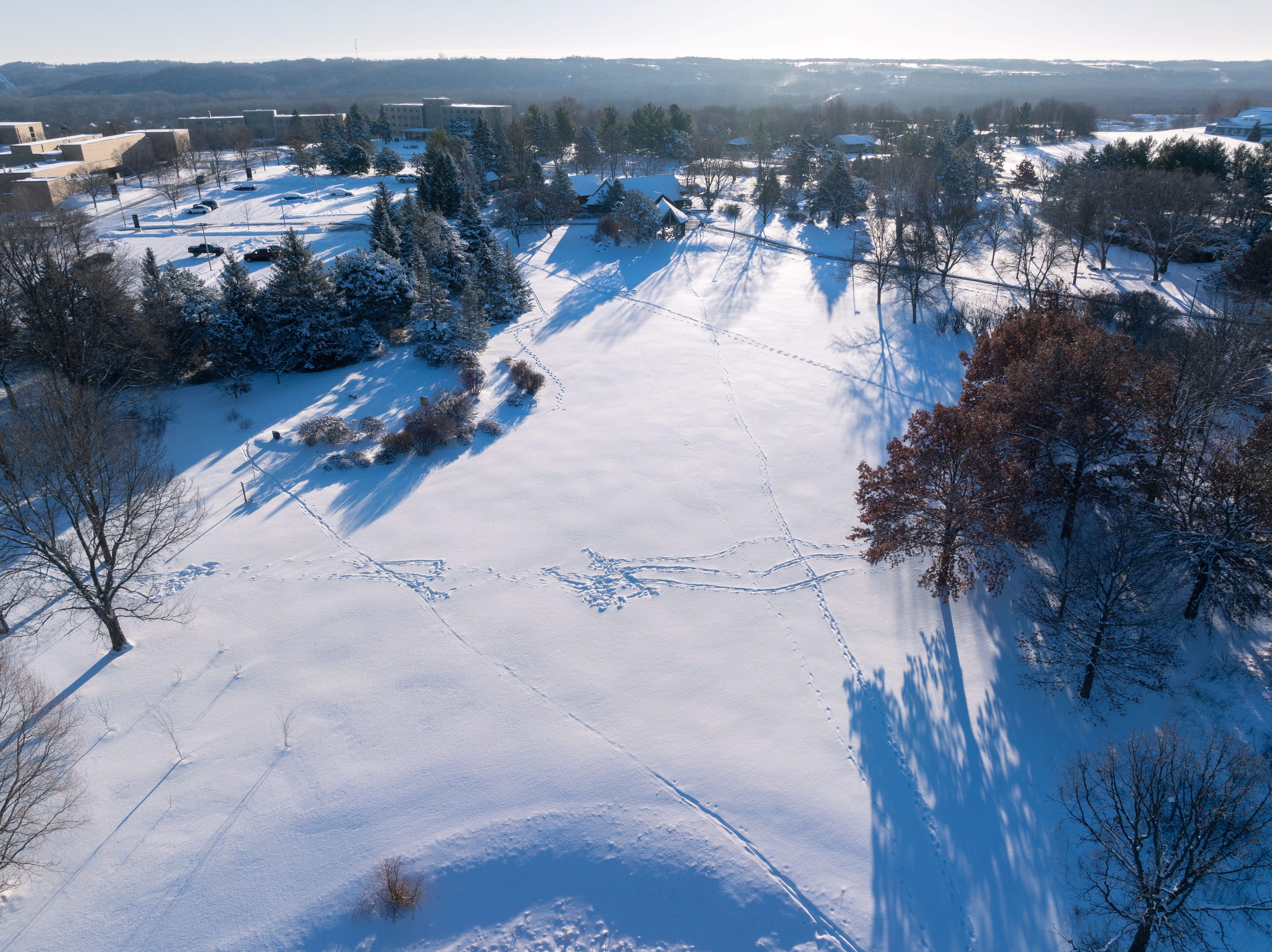 Drone of arb in winter