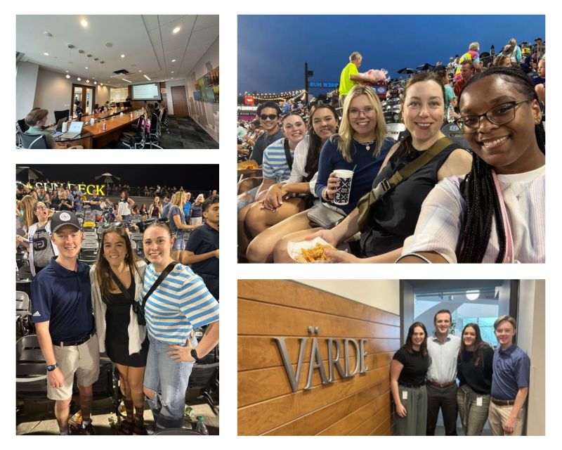 Varde Internship Collage