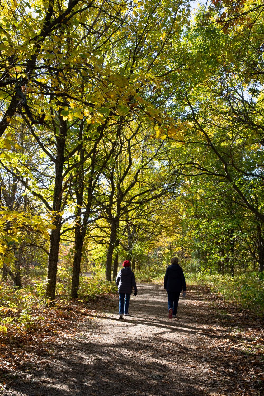 Fall hike in the Arb