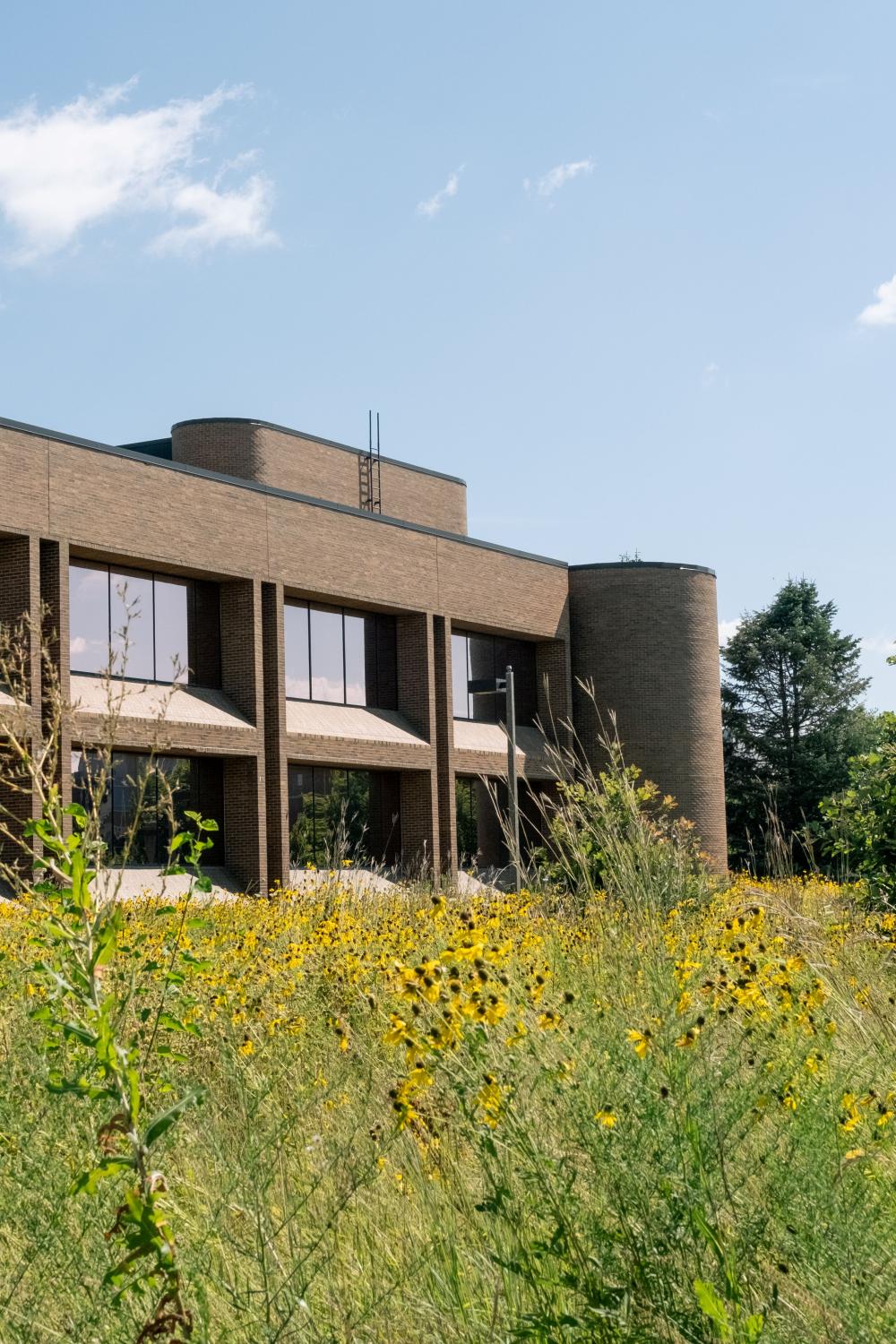Library with Prairie