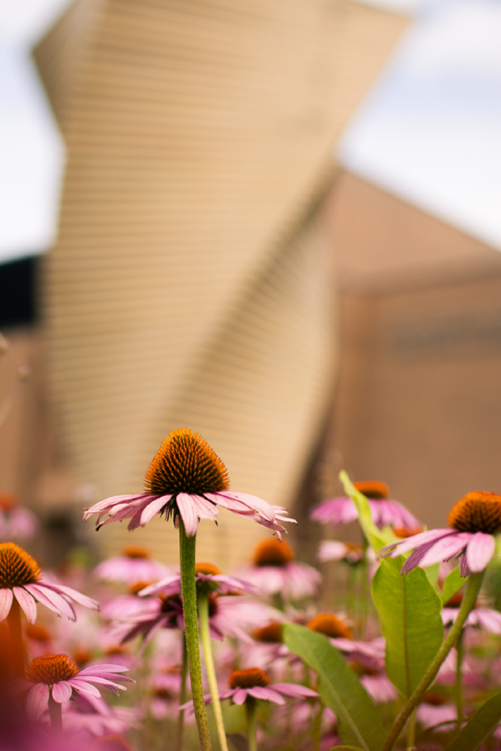 Flowers in front of one of the Gustavus sculptures on campus