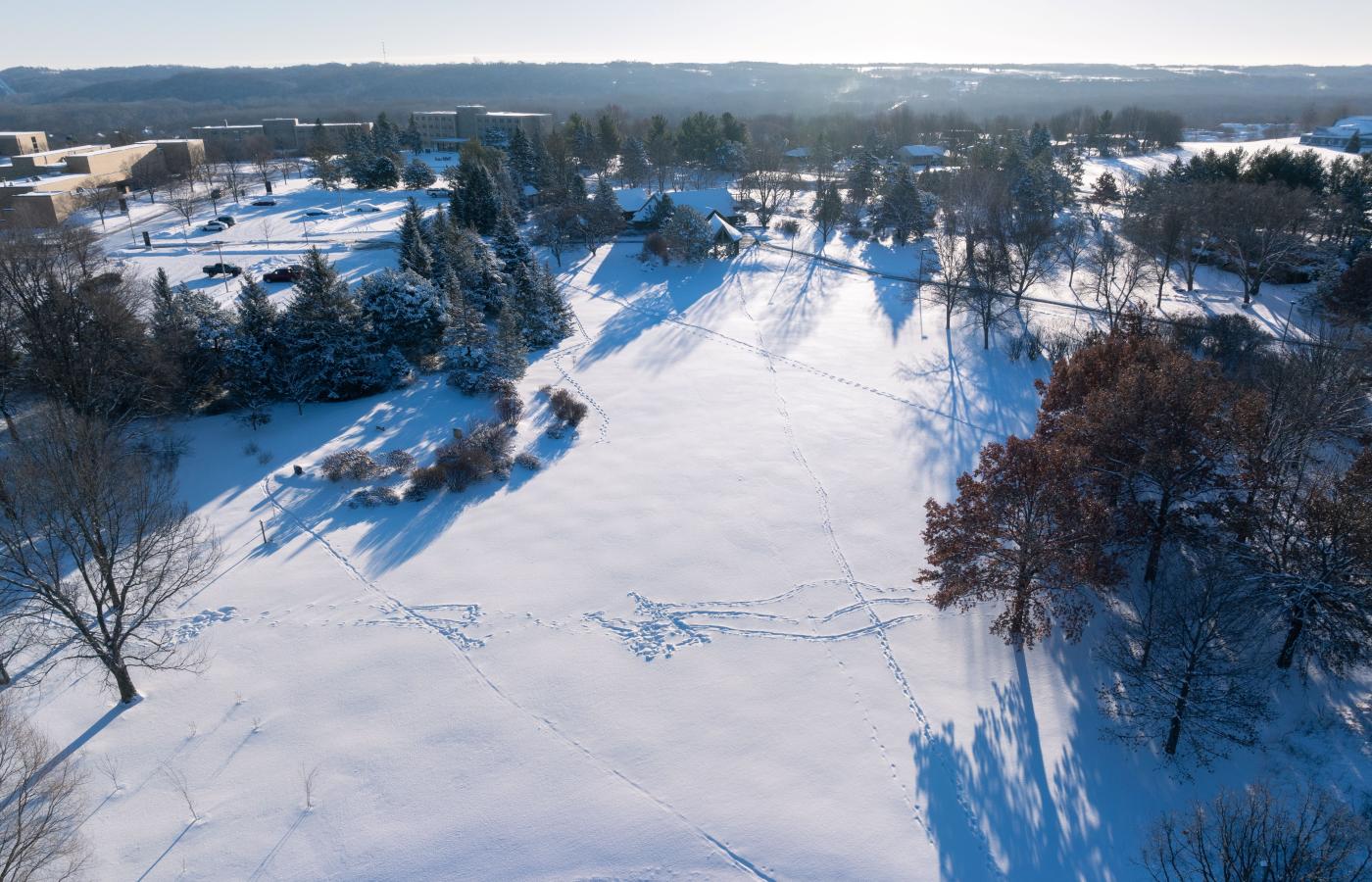 Drone of arb in winter