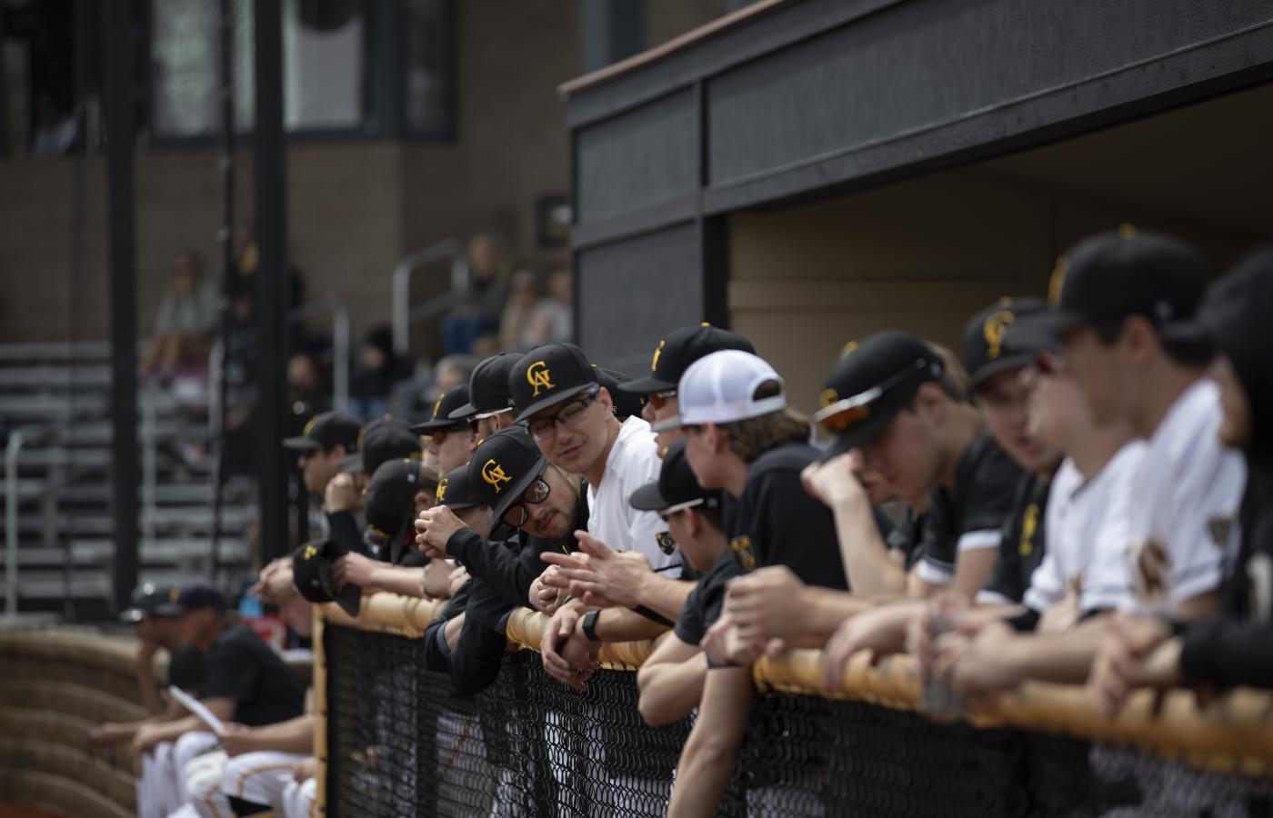 A line of baseball players during a game. 