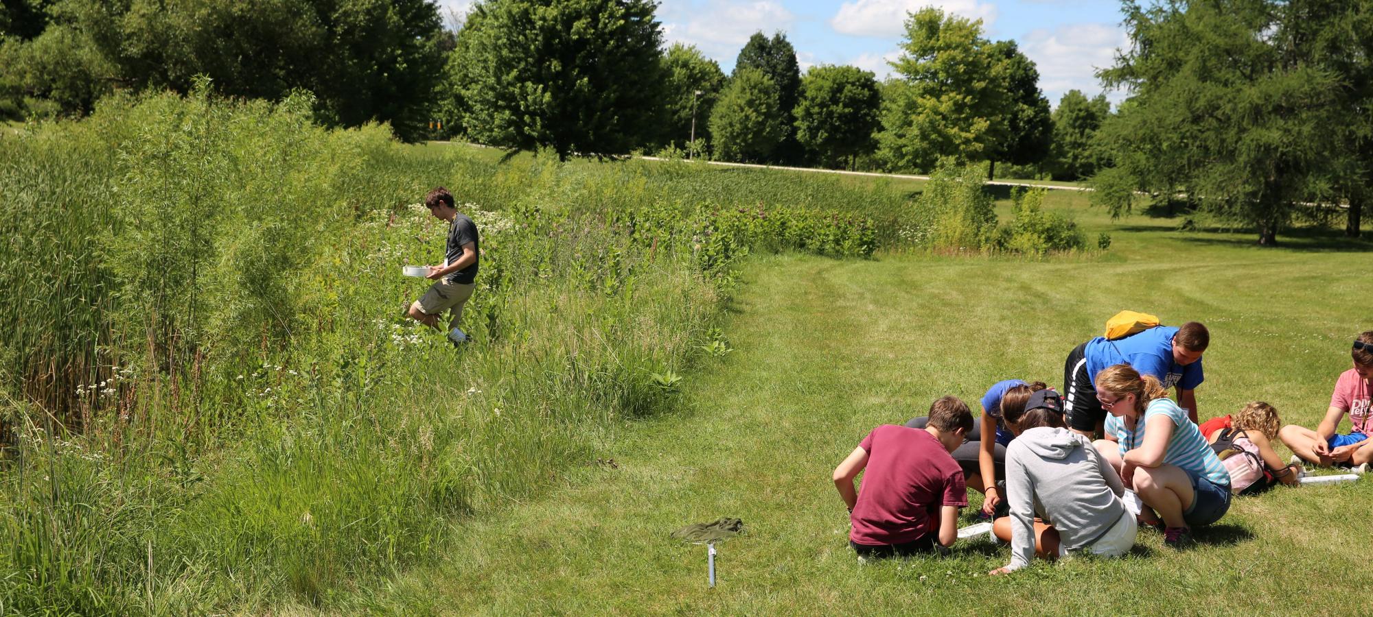 Students research in the arb