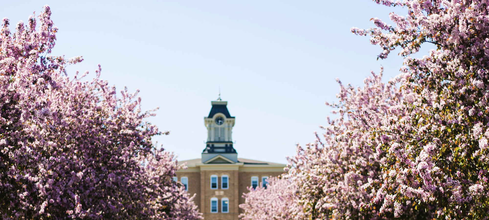 Old Main with blooms