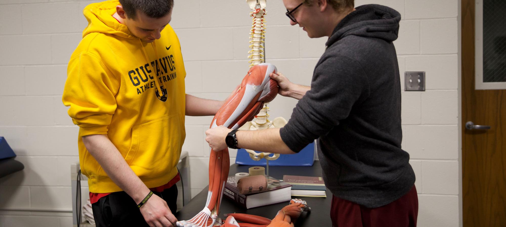 Athletic trainers with model leg