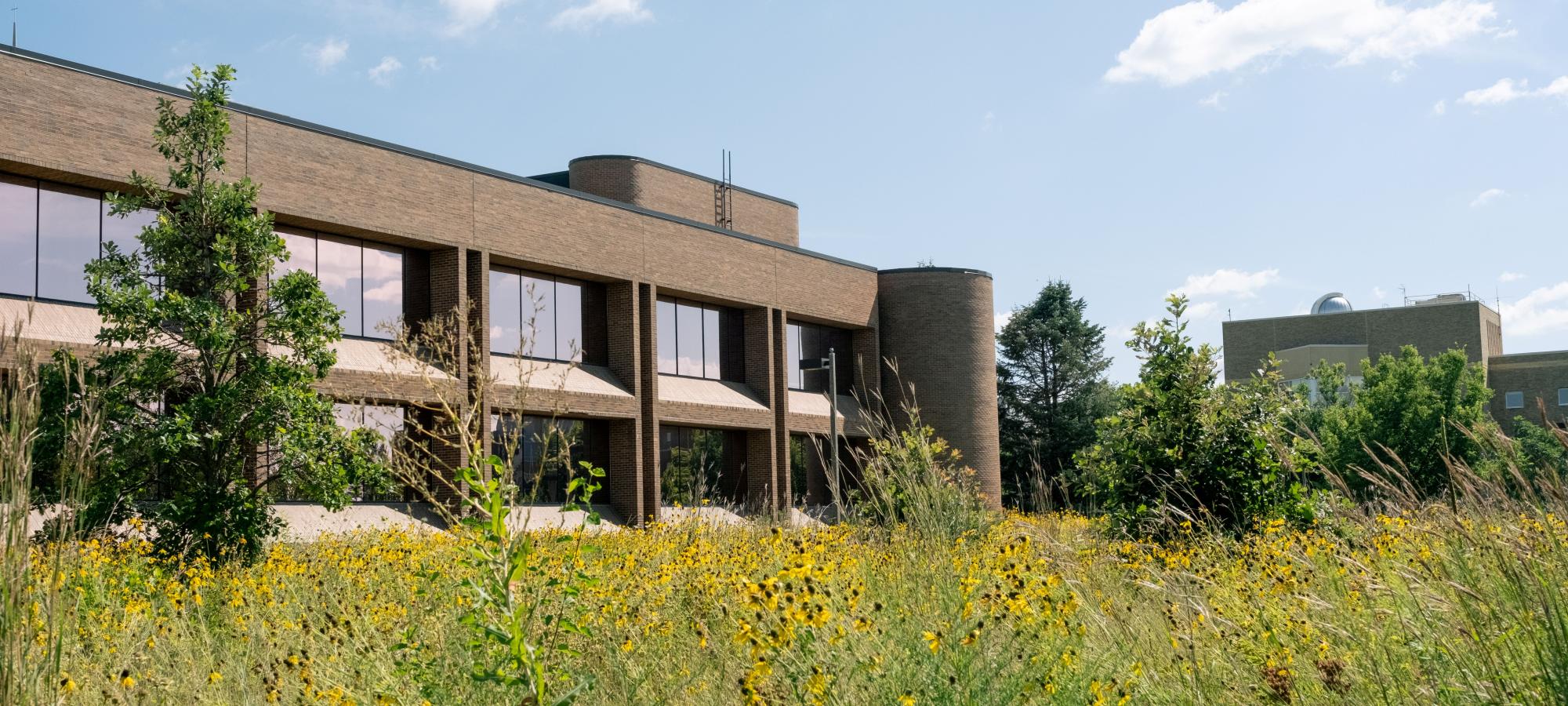 Library with Prairie