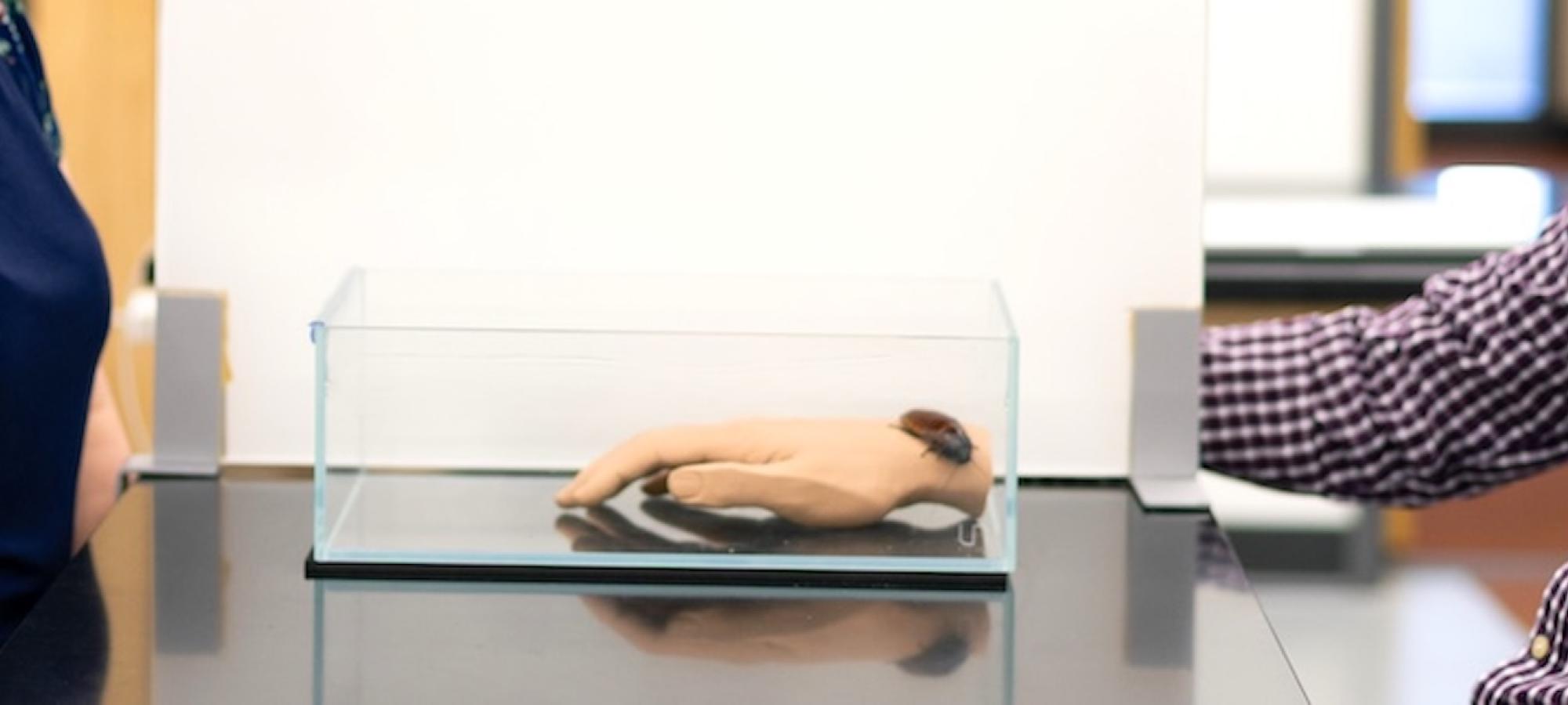 Two people watch a roach crawl across a prosthetic hand. 