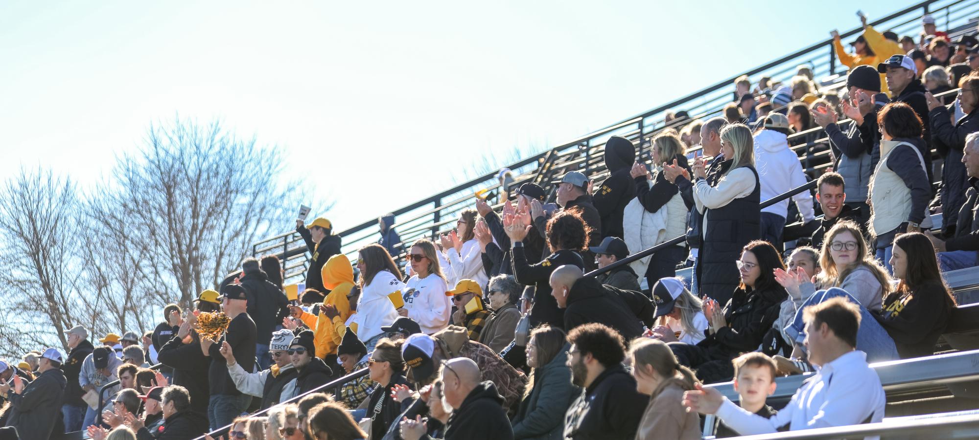 stadium fans