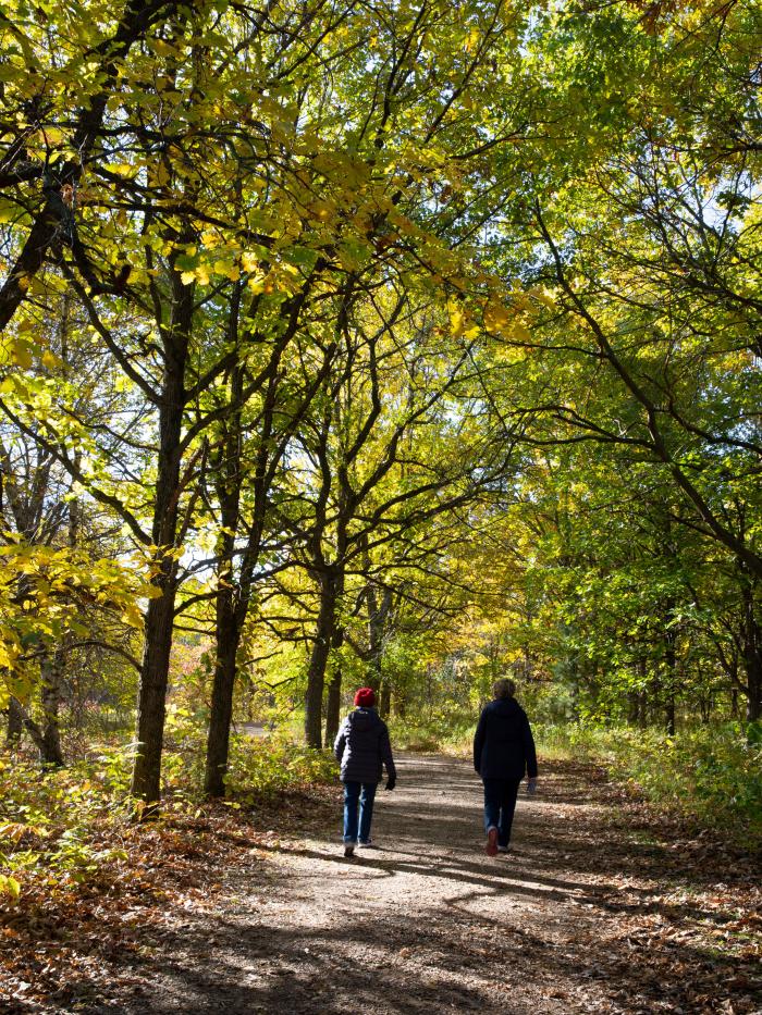Fall hike in the Arb