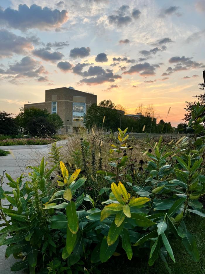 Olin Hall sunset
