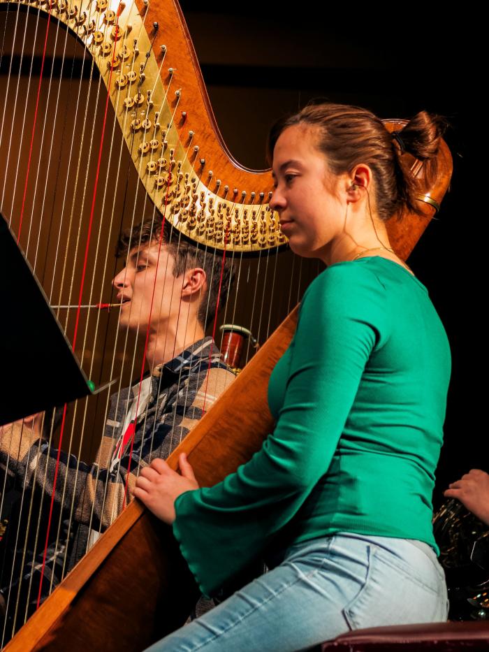 Harp in band