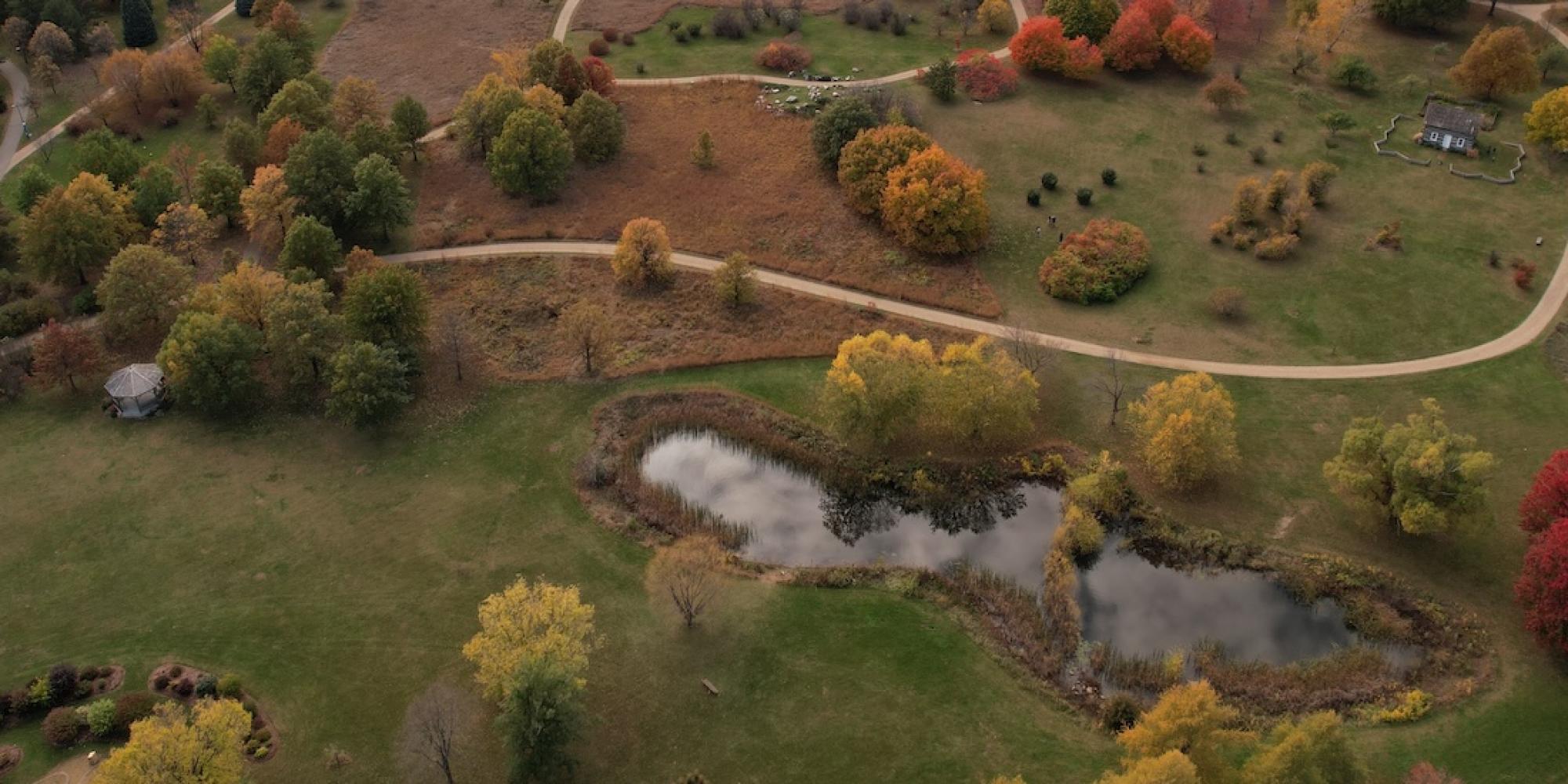 Aerial view of paths winding through a wooded area and meadows. 